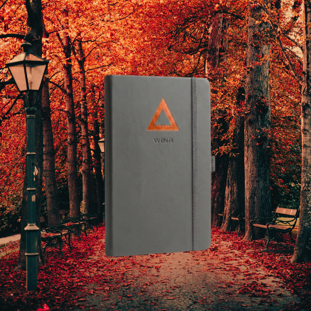WINR Vision Journal - Autumn